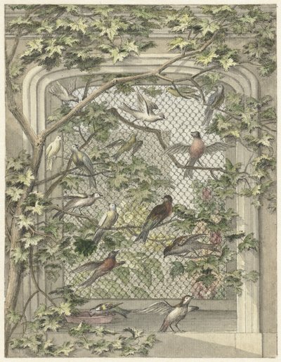 Volière met veertien vogels door Aert Schouman (possibly)