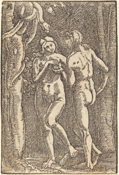 De val van de mens door Albrecht Altdorfer