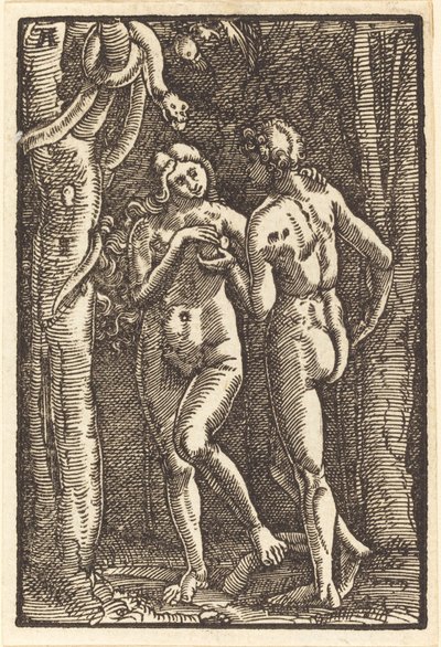 De val van de mens door Albrecht Altdorfer