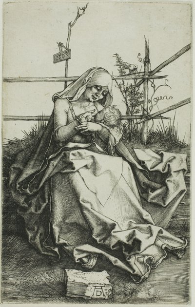 Madonna op een grasrijke oever door Albrecht Dürer