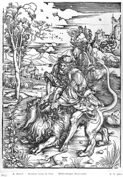 Simson die de leeuw doodt, c.1496-98 door Albrecht Dürer