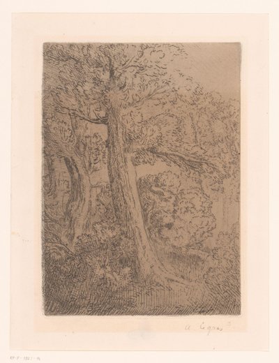 Twee bomen door Alphonse Legros (signed by artist)