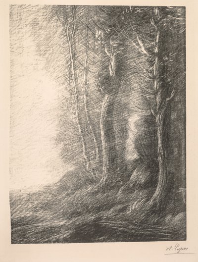 Landschap (Paysage) door Alphonse Legros