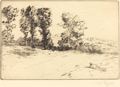 Weide in Zonneschijn door Alphonse Legros