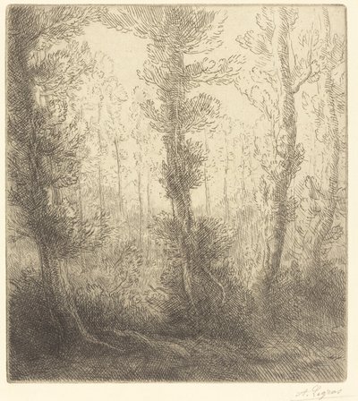 Klein meer door Alphonse Legros