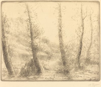 Klein Meer Le petit lac door Alphonse Legros