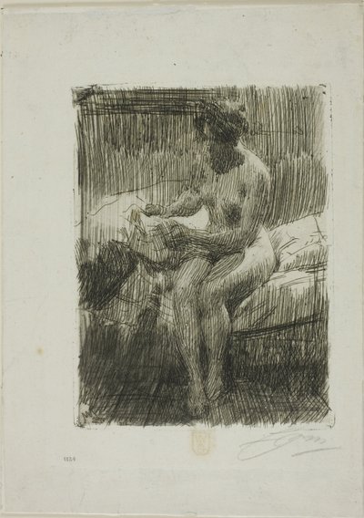 Model lezen door Anders Leonard Zorn