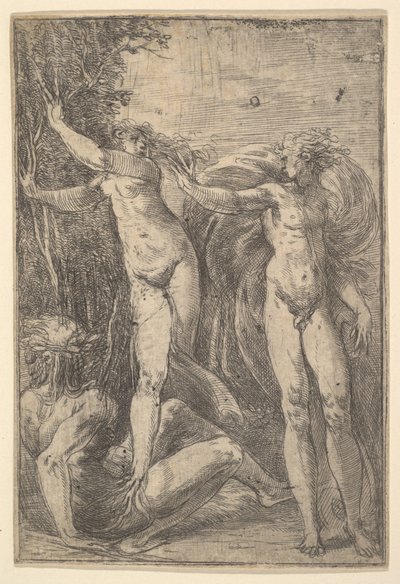 Apollo en Daphne door Andrea Schiavone