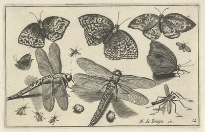 Vlinders en libellen Vogels en insecten (series title) door Anonymous