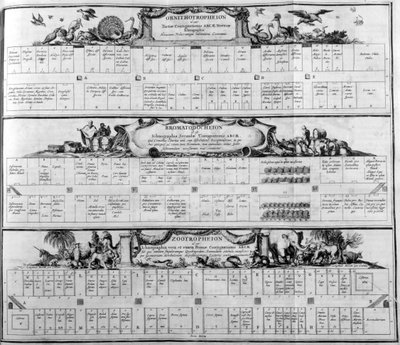 Tabel van de soorten, 1765 door Athanasius Kircher