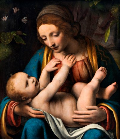 Madonna en Kind, 1515-1523 door Bernardino Luini