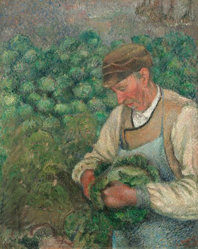 De tuinman - Oude boer met kool door Camille Pissarro