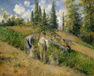 De Oogst, Pontoise door Camille Jacob Pissarro