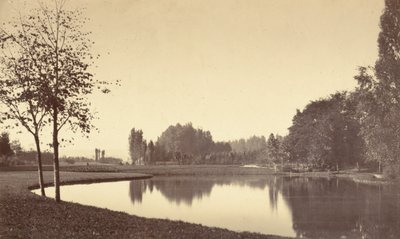 Bois de Boulogne door Charles Marville