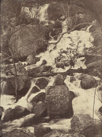 [Bomen en watervallen], 1860-65 door Charles Nègre