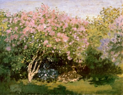 Sering in de zon, 1872-1873 door Claude Monet