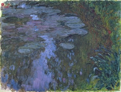 Nymphaea door Claude Monet