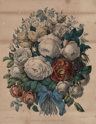 Rozen en rozenknoppen door Currier and Ives