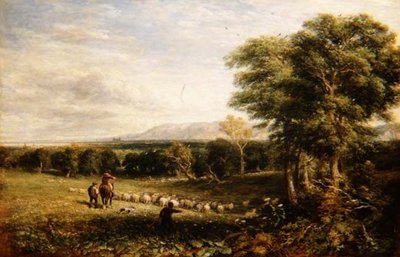 De Vale of Clwyd door David Cox