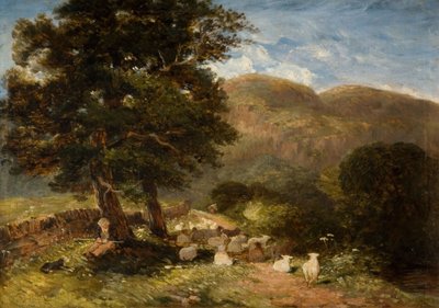 Schapen hoeden, Bettws-y-Coed, 1849 door David Cox the elder