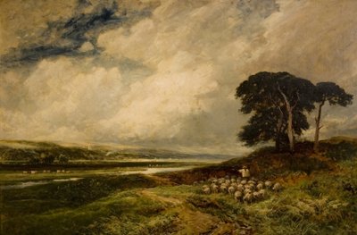 Landschap met Schapen door Edmund Morison Wimperis