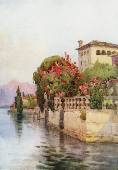 Oleanders, Lago d