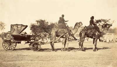 Kameelkoets, ca.1860 (fotogravure) door English Photographer