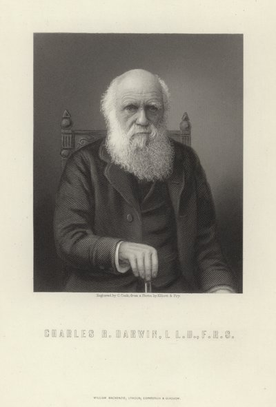 Charles R. Darwin door English School