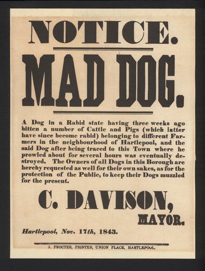 Waarschuwing voor Dolle Hond, Hartlepool, 1843 door English School