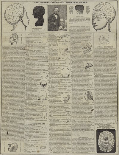 De frenologische en mesmerische kaart door English School