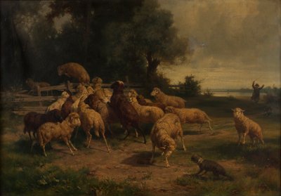 Schapen door Ernst Adolph Meissner