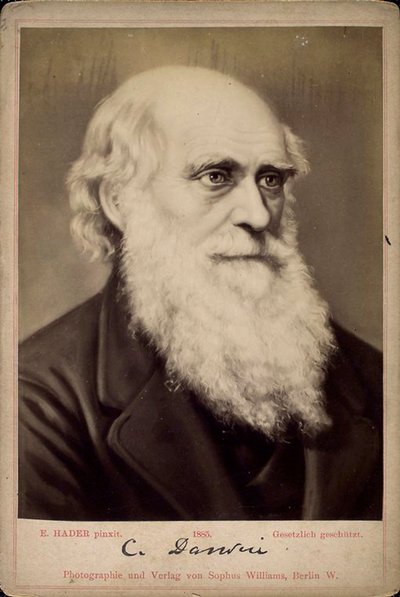 Charles Darwin, Britse natuuronderzoeker door Ernst Hader