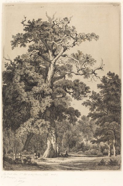 Oude eik in het Bois de Boulogne door Eugene Bléry