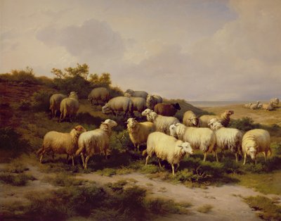 Schapen aan de Kust, 1878 door Eugene Joseph Verboeckhoven