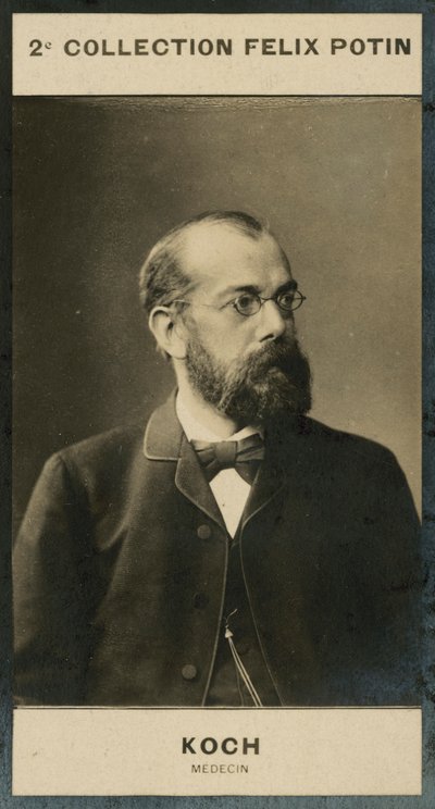 Robert Koch, Arts door European Photographer