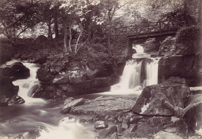 Glen Lun. De Rustieke Brug, 1870s door Francis Bedford