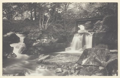 Glen Lyn, de Rustieke Brug door Francis Bedford