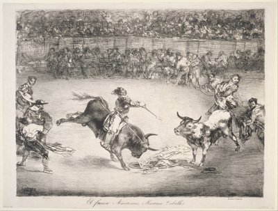 De Beroemde Amerikaan Mariano Cebellos door Francisco de Goya