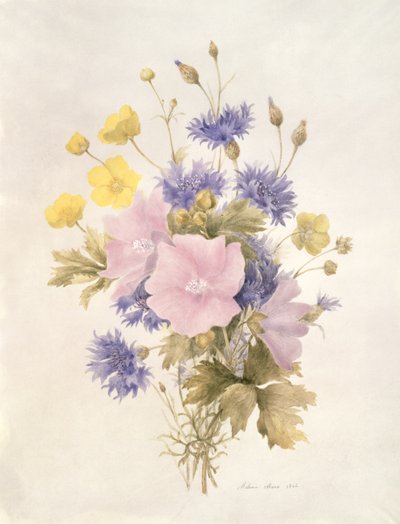 Veldbloemen, 1842 door French School