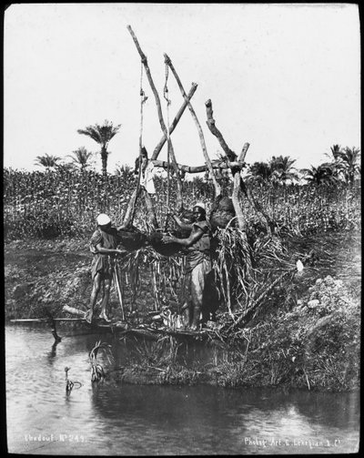 Een sjadoef aan de Nijl, Egypte, ca. 1890 door Gabriel Lekegian