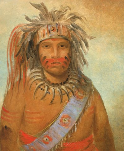 Au-nim-muck-kwa-um, Tempest Bird, 1845 door George Catlin