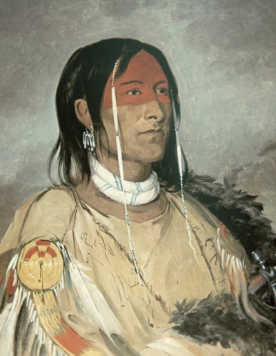 Gebroken Arm door George Catlin