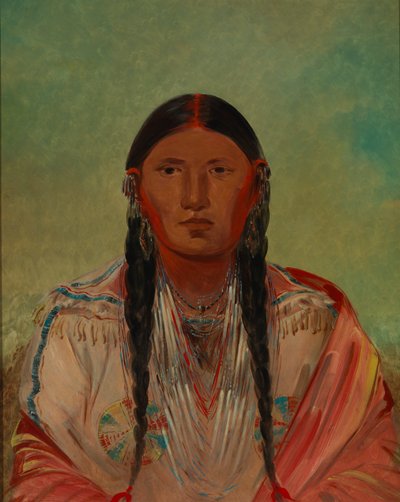 Ru-ton-wee-me, Duif in de vlucht door George Catlin