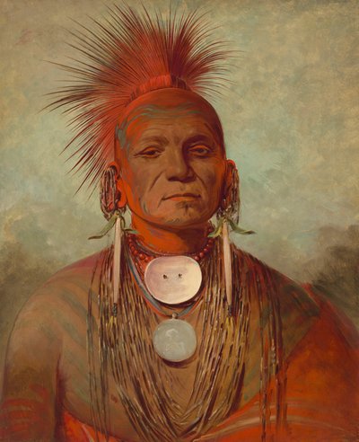 See-non-ty-a, een Iowa Medicijnman door George Catlin