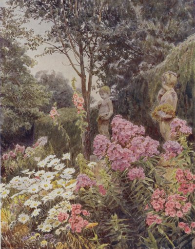 Phlox en Madelief door George Samuel Elgood