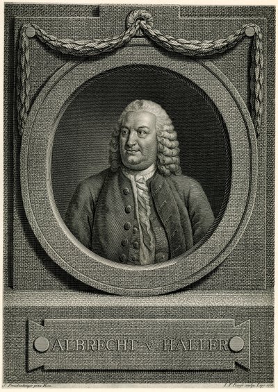 Albrecht von Haller door German School