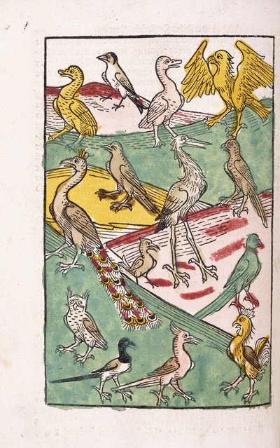 Verschillende vogelsoorten in een landschap, 1499 door German School