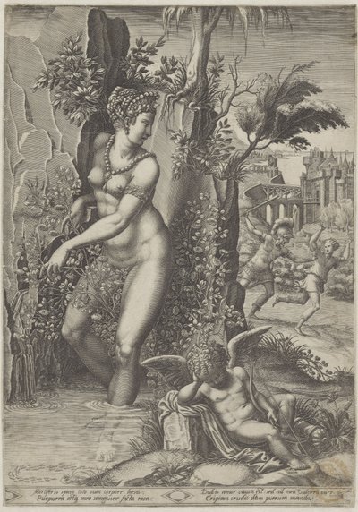 Venus en de roos door Giorgio Ghisi