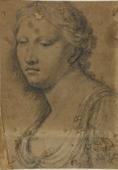 Borstbeeld van een Vrouw door Girolamo da Carpi