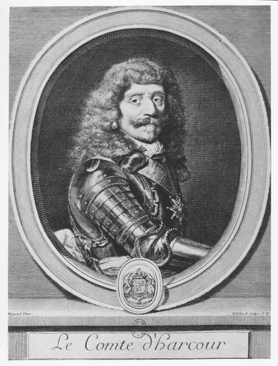 Henri de Lorraine, Graaf d